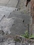 Zdjęcie: 55