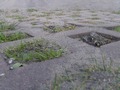 Zdjęcie: 62