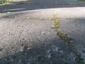 Zdjęcie: 63
