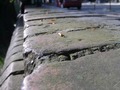 Zdjęcie: 65