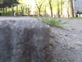 Zdjęcie: 87