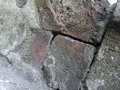Zdjęcie: 89