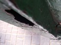 Zdjęcie: 96