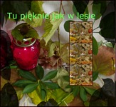 Zdjęcie: 128