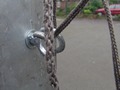 Zdjęcie: 137